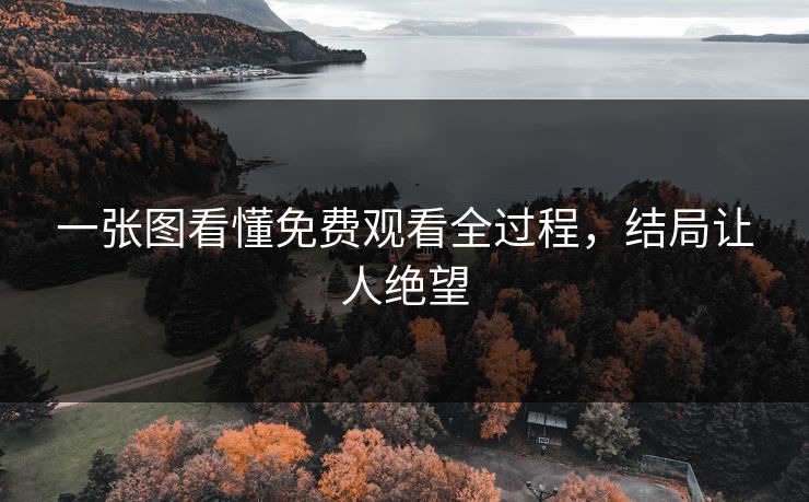 一张图看懂免费观看全过程，结局让人绝望