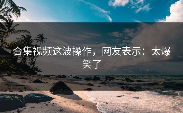 合集视频这波操作，网友表示：太爆笑了