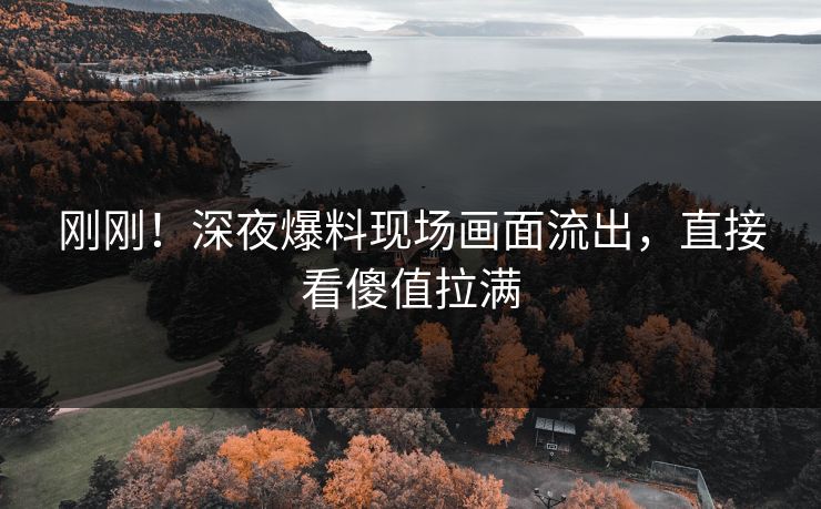刚刚！深夜爆料现场画面流出，直接看傻值拉满