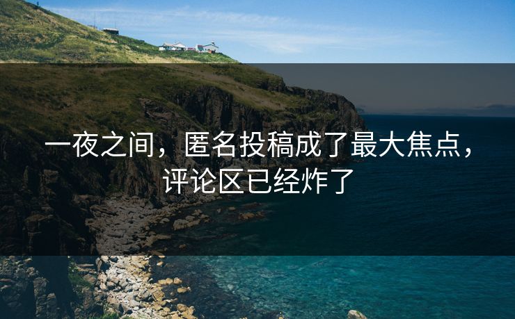 一夜之间，匿名投稿成了最大焦点，评论区已经炸了