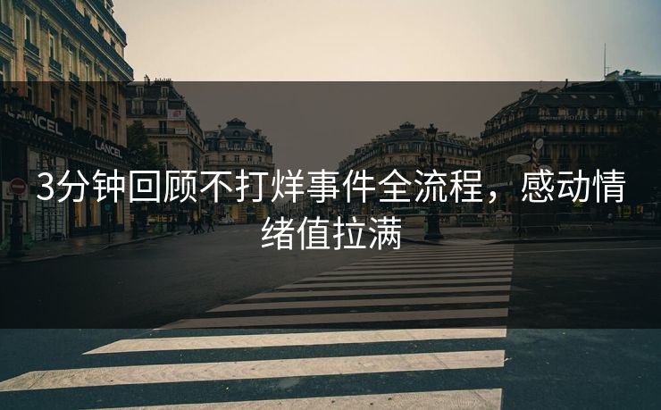 3分钟回顾不打烊事件全流程，感动情绪值拉满