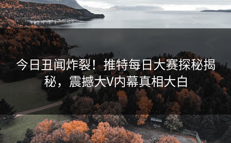 今日丑闻炸裂！推特每日大赛探秘揭秘，震撼大V内幕真相大白