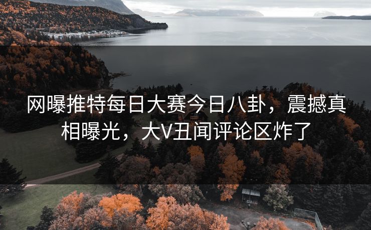 网曝推特每日大赛今日八卦，震撼真相曝光，大V丑闻评论区炸了