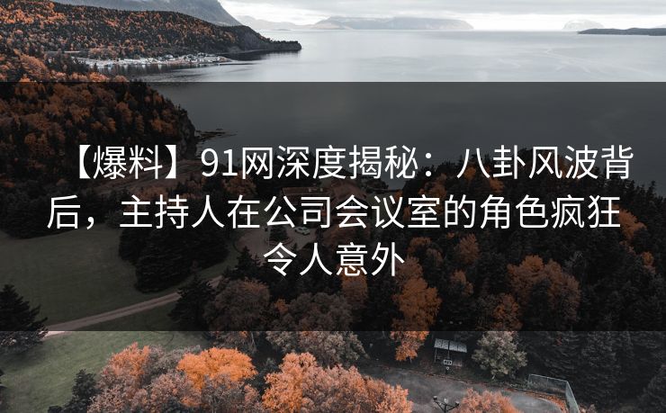 【爆料】91网深度揭秘：八卦风波背后，主持人在公司会议室的角色疯狂令人意外