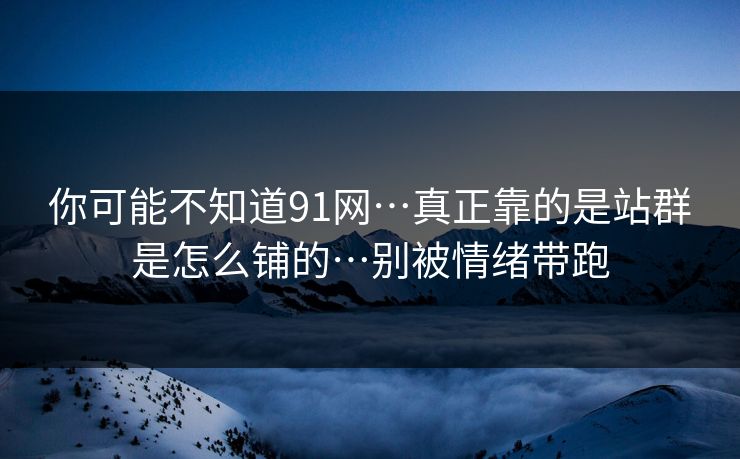 你可能不知道91网…真正靠的是站群是怎么铺的…别被情绪带跑