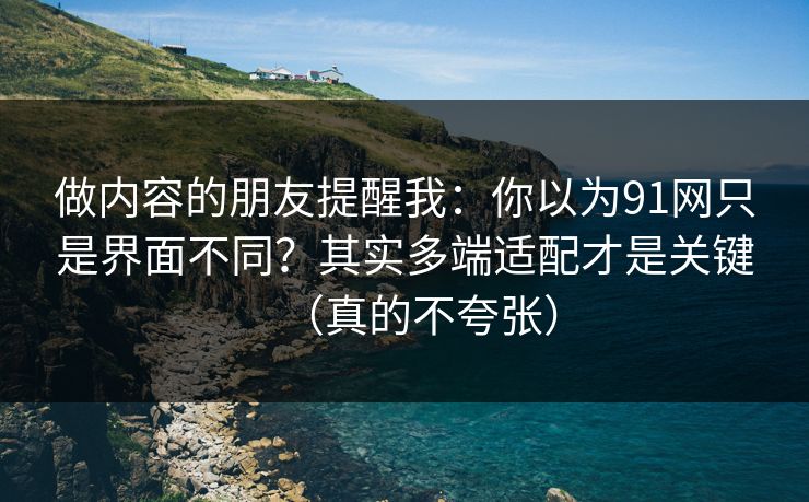 做内容的朋友提醒我：你以为91网只是界面不同？其实多端适配才是关键（真的不夸张）