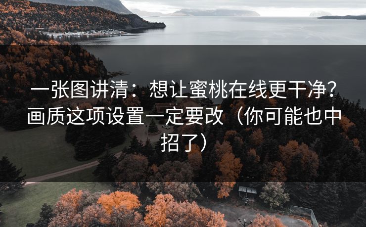 一张图讲清：想让蜜桃在线更干净？画质这项设置一定要改（你可能也中招了）